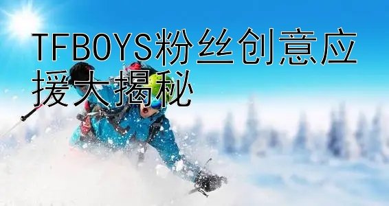 TFBOYS粉丝创意应援大揭秘