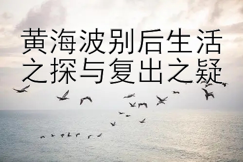 黄海波别后生活之探与复出之疑