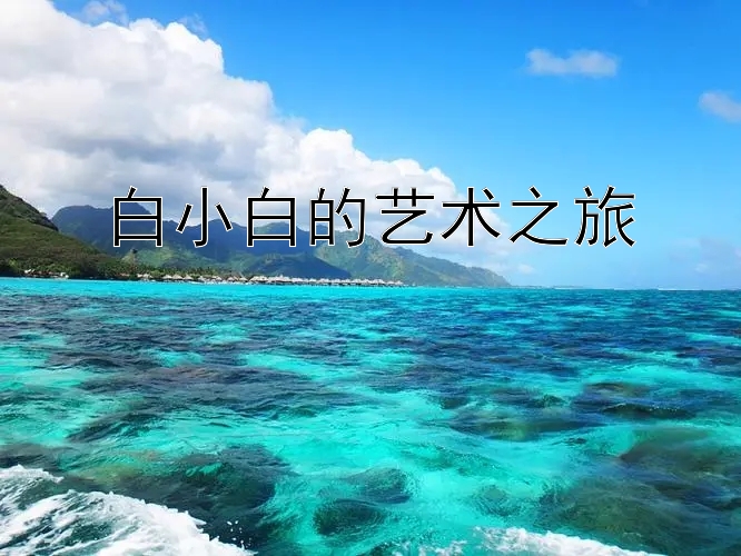 白小白的艺术之旅