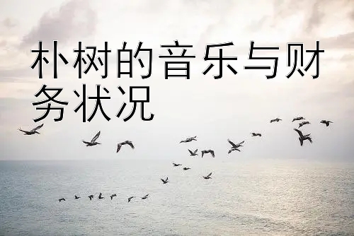 朴树的音乐与财务状况