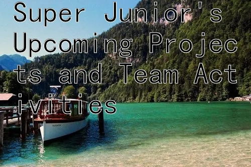 Super Junior's Upcoming Projects and Team Activities