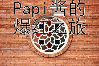 Papi酱的爆红之旅