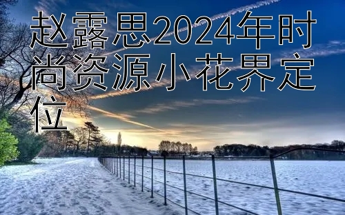 赵露思2024年时尚资源小花界定位