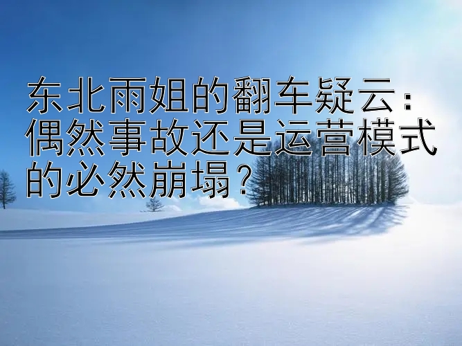 东北雨姐的翻车疑云：偶然事故还是运营模式的必然崩塌？