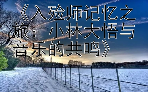 《入殓师记忆之旅：小林大悟与音乐的共鸣》