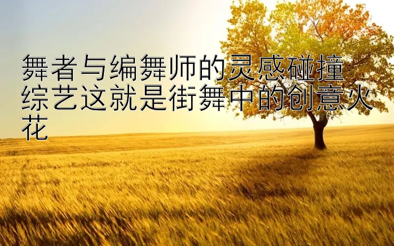 舞者与编舞师的灵感碰撞  
综艺这就是街舞中的创意火花