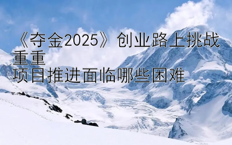 《夺金2025》创业路上挑战重重  
项目推进面临哪些困难